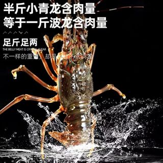 百库 海捕速冻小青龙虾 8两-1.2斤*2只