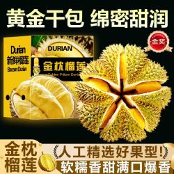 鲁道鲜 金枕榴莲泰国进口鲜果泰国整个带壳金枕头水果整箱 |净重2.2斤起