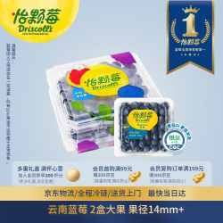Driscoll's 蓝莓 125g*2盒