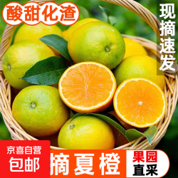 限时1小时橙子 净果8.5斤 60起果径
