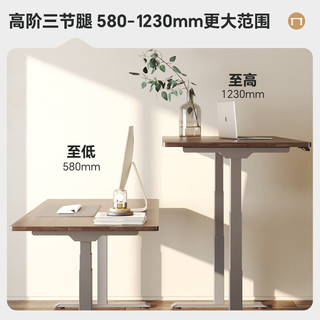 乐歌 E5-N 电动升降桌 1.6m黑胡桃木色 橡胶木