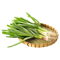 GREENSEER 绿鲜知 蒜苗 300g