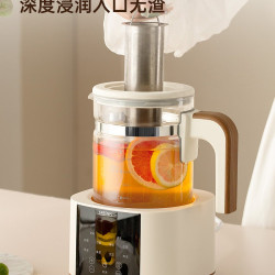 Greenis 养生壶纯钛煮茶壶煮茶器炖煮一体花茶电热烧热水壶