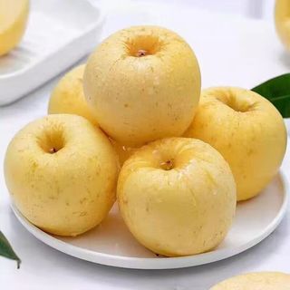  栀舒 奶油富士苹果