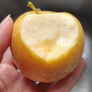  栀舒 奶油富士苹果