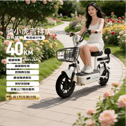 驰小虎 长续航 电动自行车 铅酸电池  吉祥虎-40KM-绿色