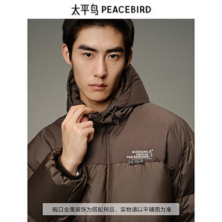  PEACEBIRD/太平鸟 防寒 男士羽绒服