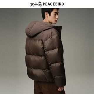  PEACEBIRD/太平鸟 防寒 男士羽绒服