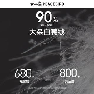  PEACEBIRD/太平鸟 防寒 男士羽绒服