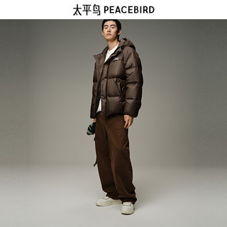 PEACEBIRD/太平鸟 防寒 男士羽绒服