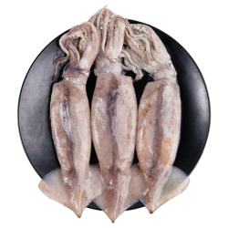 美加佳 MEIJIAJIA 美加佳 阿根廷大鱿鱼 550g