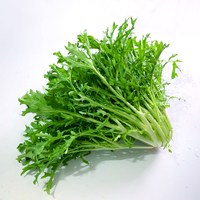 绿食者 苦菊 500g
