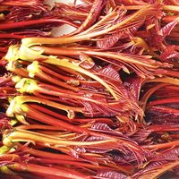 农大姐妹 2026头茬红油香椿芽 500g 叶菜类蔬菜