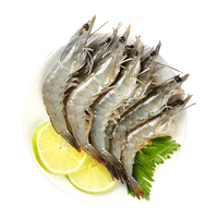  大鲜田 白虾
