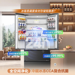 容声 战神系列 SR-560D30FNLBD 风冷法式门冰箱 560L 灰色