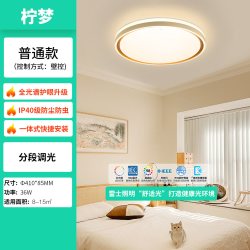 雷士 LightingLED全光谱智能护眼吸顶灯客厅大厅卧室书房RG0级防蓝光灯具沐晨银 全光谱智控128瓦