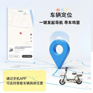 立马 新国标 长续航 电动自行车