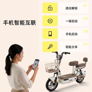 立马 新国标 长续航 电动自行车