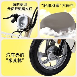 立马 新国标 长续航 电动自行车