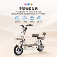 立马 小叮当 48V21Ah 新国标电动自行车