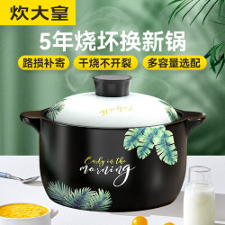 炊大皇 家用砂锅