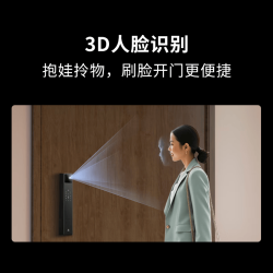 龙霆 智能门锁人脸识别电子锁全自动指纹锁密码锁防盗门锁A3FD