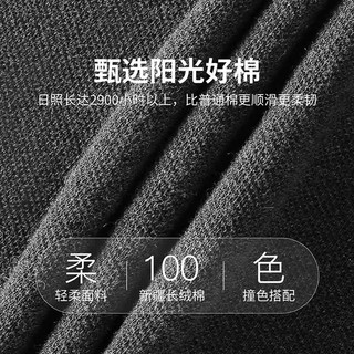  FIRS/杉杉 纯棉 男士长袖T恤