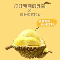 百亿补贴：驿加易选 泰国树熟金枕冻榴莲肉1000g新鲜液氮锁鲜 顺丰包邮