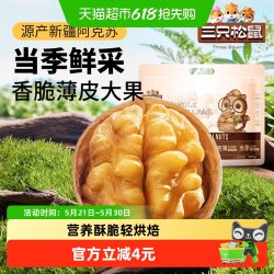 三只松鼠 纸皮核桃500g