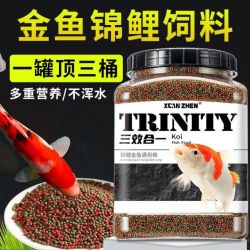 科万鸿 金鱼饲料锦鲤专用小颗粒鱼粮  500g （罐装）买一送一