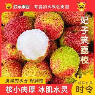 Joy Tree 海南妃子笑荔枝 4.5斤 彩箱装