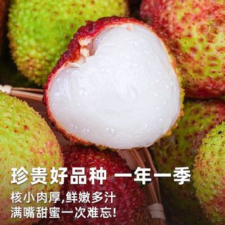 Joy Tree 海南妃子笑荔枝 4.5斤 彩箱装