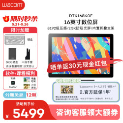 和冠 数位屏16英寸专业设计师手绘屏DTK168K