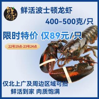 鲜润泽 北上广及周边 鲜活波士顿龙虾 /只 400500g
