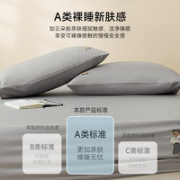 TEENIE WEENIE 小熊 A类全棉枕套 48cmX74cm 2号灰