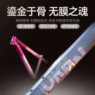 永久 24英寸铝合金车架禧玛诺7速碟刹山地自行车