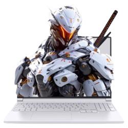 机械革命 极光X 16英寸 游戏本（I7-14650HX、RTX5060、16G、512G）
