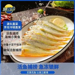 三都港 海捕小黄鱼 700g 20-24条