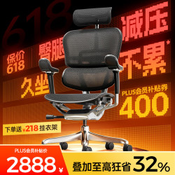 Ergonor 人体工学椅  黑色网