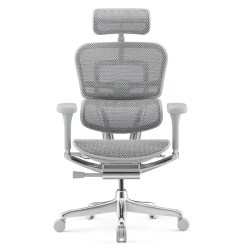 Ergonor 金豪e2 人体工学电脑椅 银白网铝合金脚
