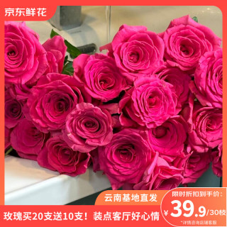 京东鲜花 随机玫瑰30枝40cm起鲜切花情人节节日礼物基地源头直发