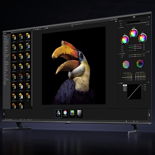 Xiaomi 小米 S Mini LED 2025系列 L55MB-S 液晶电视 55英寸 4K