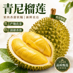 松筱 新鲜 榴莲 精选5-7斤1-2个装