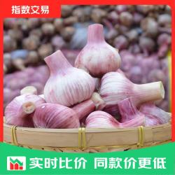 紫皮大蒜现挖新鲜多瓣鲜蒜带箱5斤中果