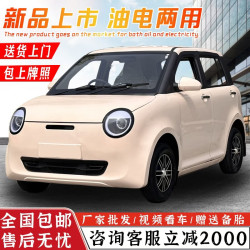 速豆 2026新款四轮车电动车家用新能源汽车油电两用老头乐成年人老年低速代步车接送孩