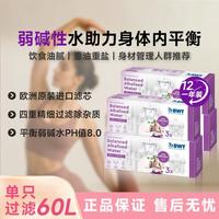 BWT 滤芯德国BWT进口净水滤芯家用自来水过滤水壶滤芯净水器滤芯