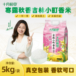 十月稻田 寒露秋香吉林小町香米大米5kg