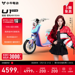 小牛电动 U1 one 电动自行车 48V30Ah锂电