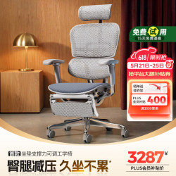Ergonor 保友金豪E2 Pro人体工学椅 办公椅电脑椅银白云感座垫+躺舒宝 银白(云感科技座垫)+躺舒宝