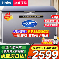 海尔 【旗舰顶配20年无霜】冰柜零下38度超低温柜一级节能省电冷藏冷冻切换单温柜卧式商用大容量风
